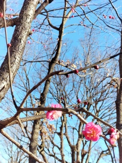 IMG20220131132228.jpg