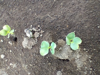 IMG20220930150558.jpg