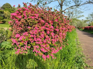 IMG20230411161157.jpg