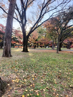 IMG20231128152403.jpg