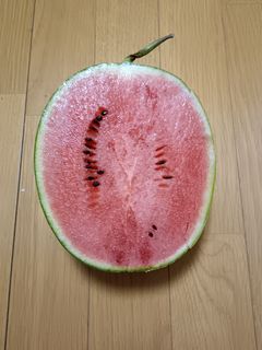IMG_20250726_190747_01.jpg